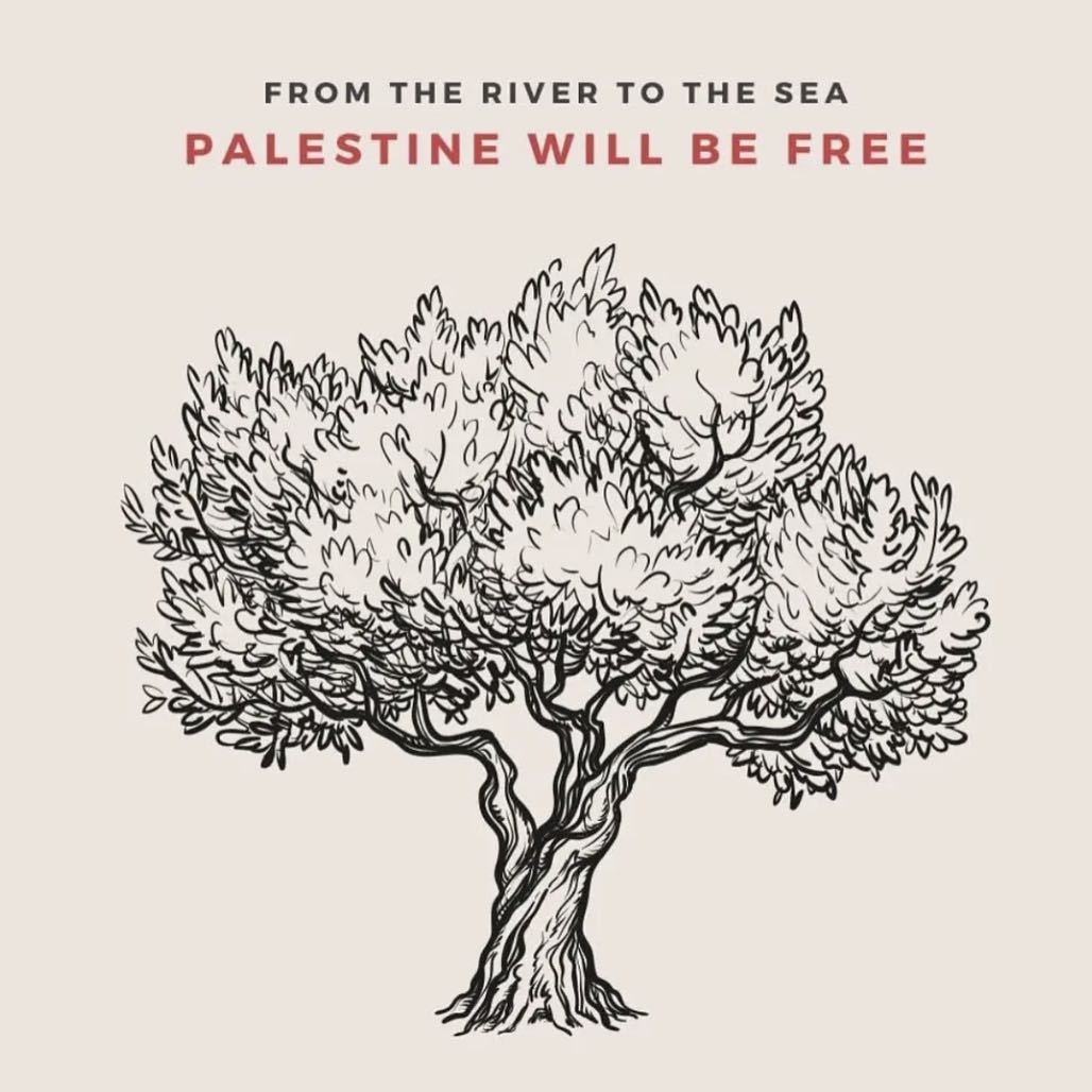 Free Palestine 🇵🇸 icon