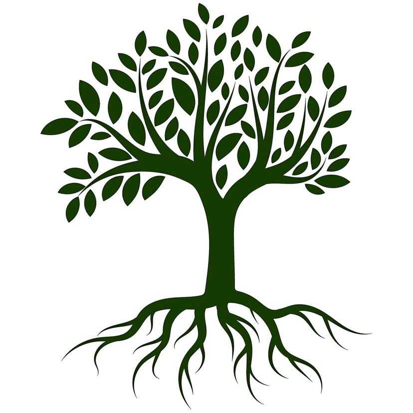 Genealogy (Ancestry) icon