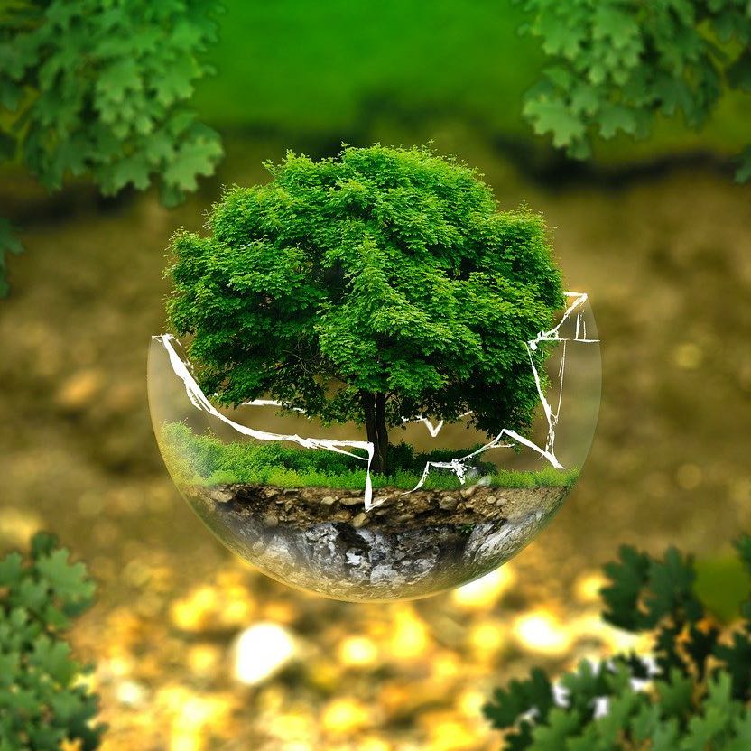 Environmental Baddies icon